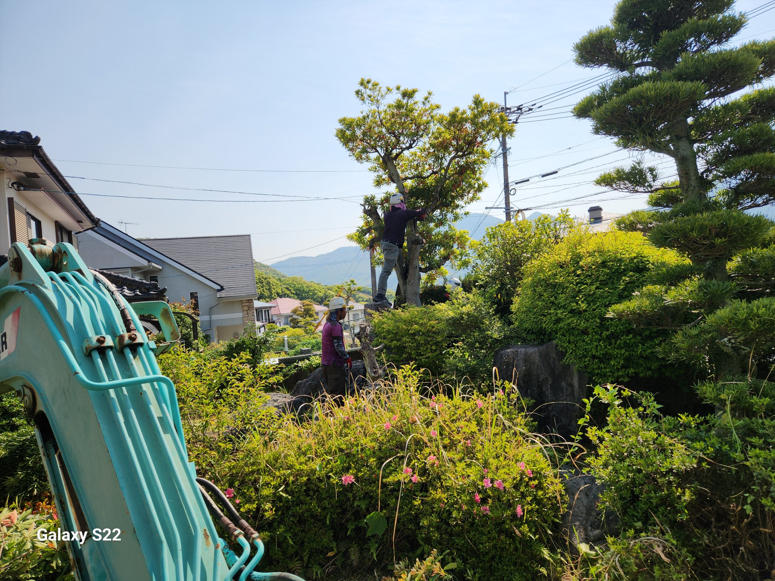 長崎市　雑木　植木　伐採　整地 - Before