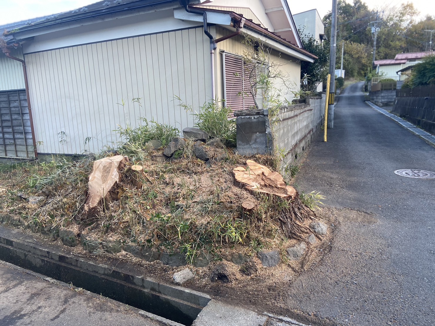 長崎市　大木伐採 - After